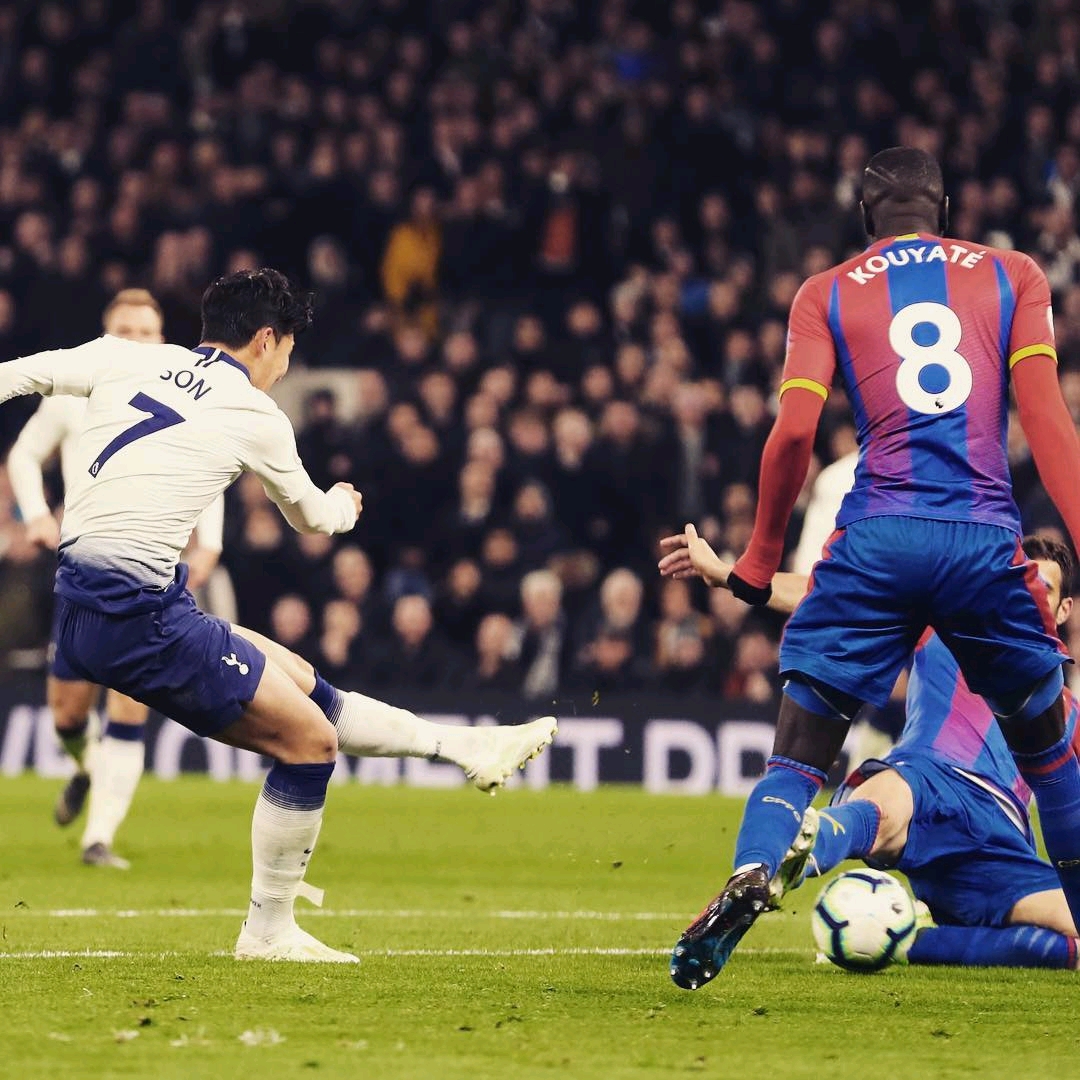 不仅能促进 不仅能促进